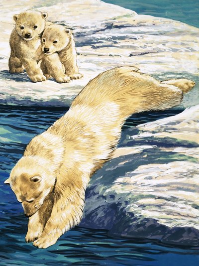 Polar Bear and Cubs by English School